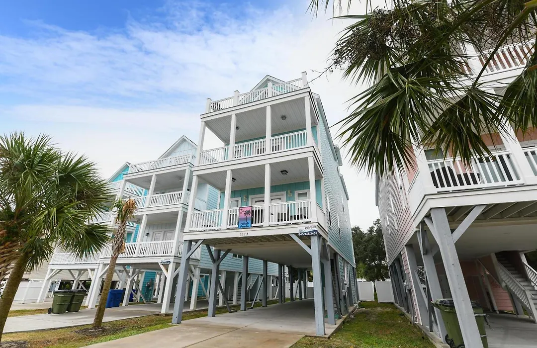 Palmetto Paradise-1