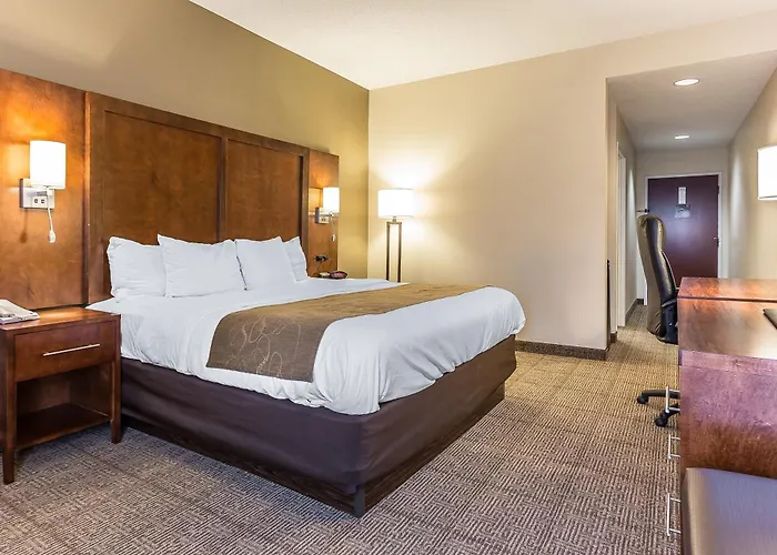 Comfort Suites Myrtle Beach Central